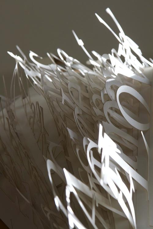 纸片雕刻字体交错艺术-the imperfections-美国hui-ni su设计师作品